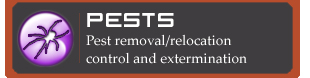 Pest removal services
